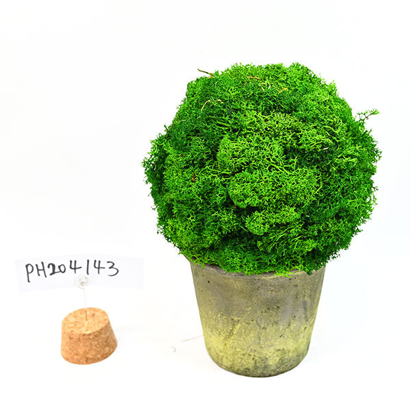 PH204143