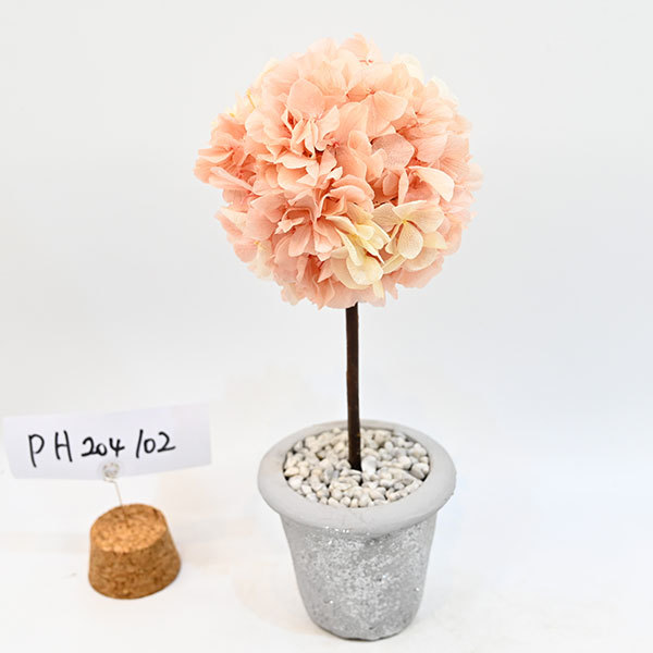 PH204102