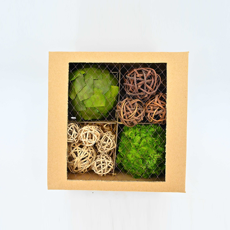 XG224005-GREEN+NAL