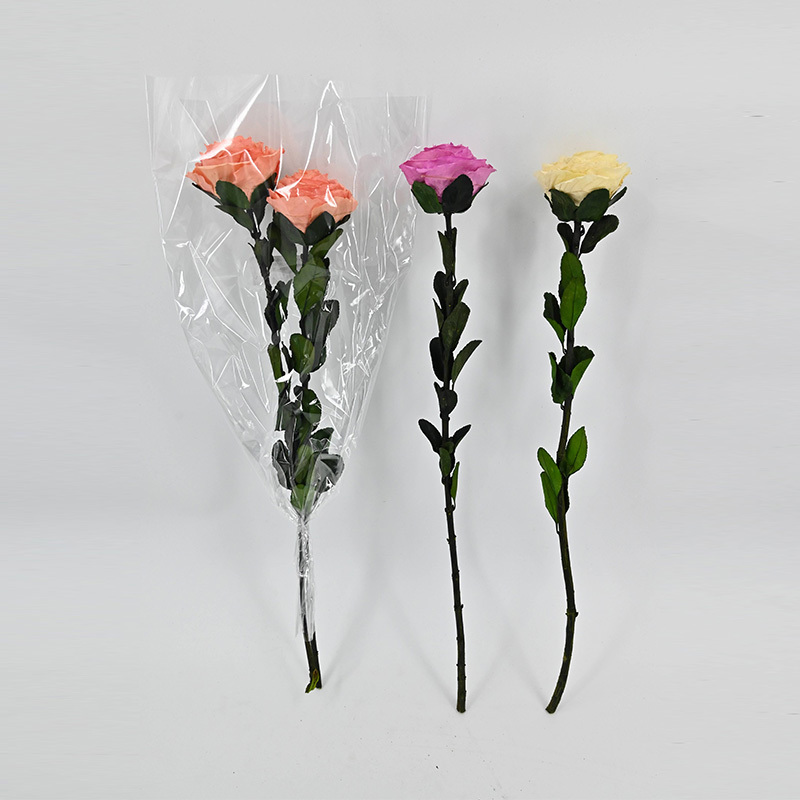 KA244001-169C，白色，672U