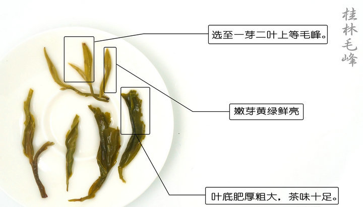 桂林漓江茶廠有限公司