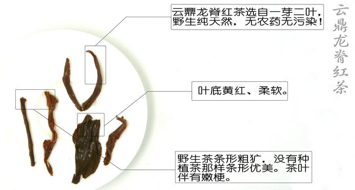 桂林漓江茶廠有限公司