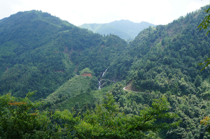 桂林漓江茶廠有限公司