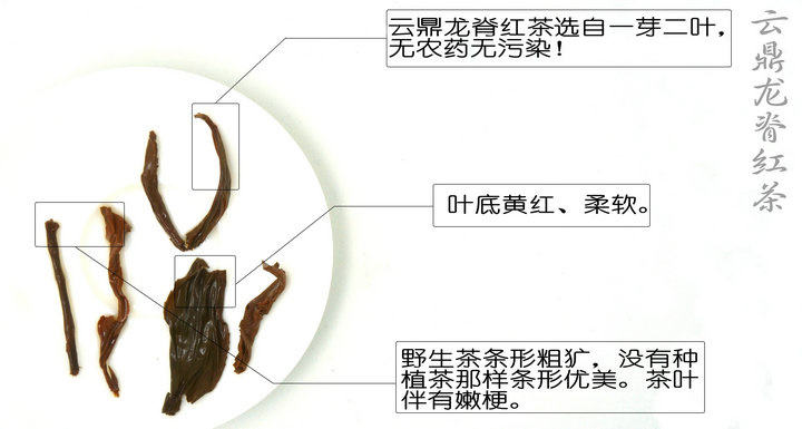 桂林漓江茶廠有限公司