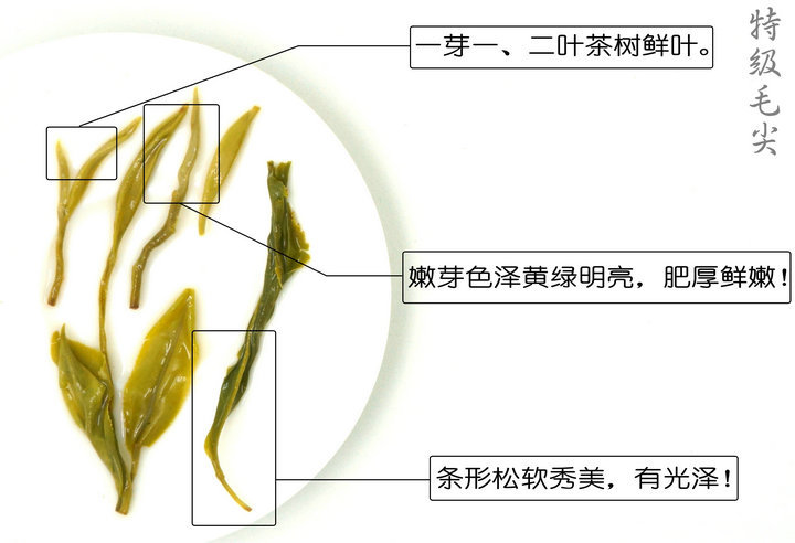 桂林漓江茶廠有限公司