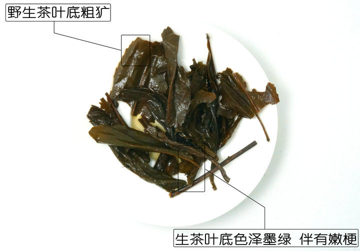 桂林漓江茶廠有限公司