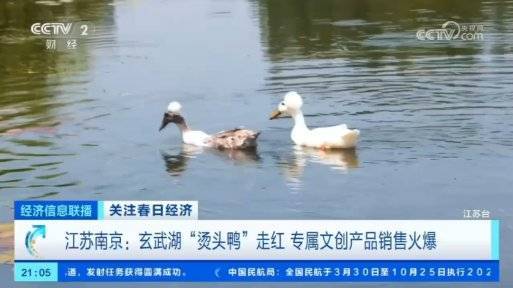 圖片名稱(chēng)