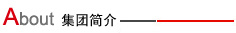 集團(tuán)簡(jiǎn)介 集團(tuán)簡(jiǎn)介