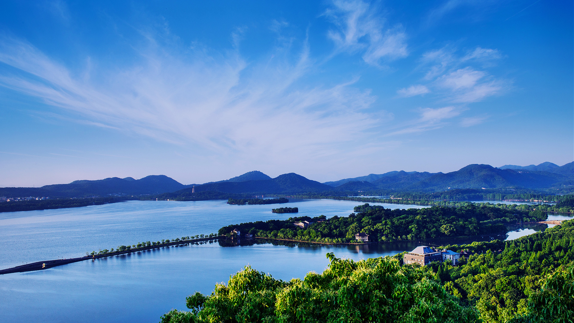 业务板块