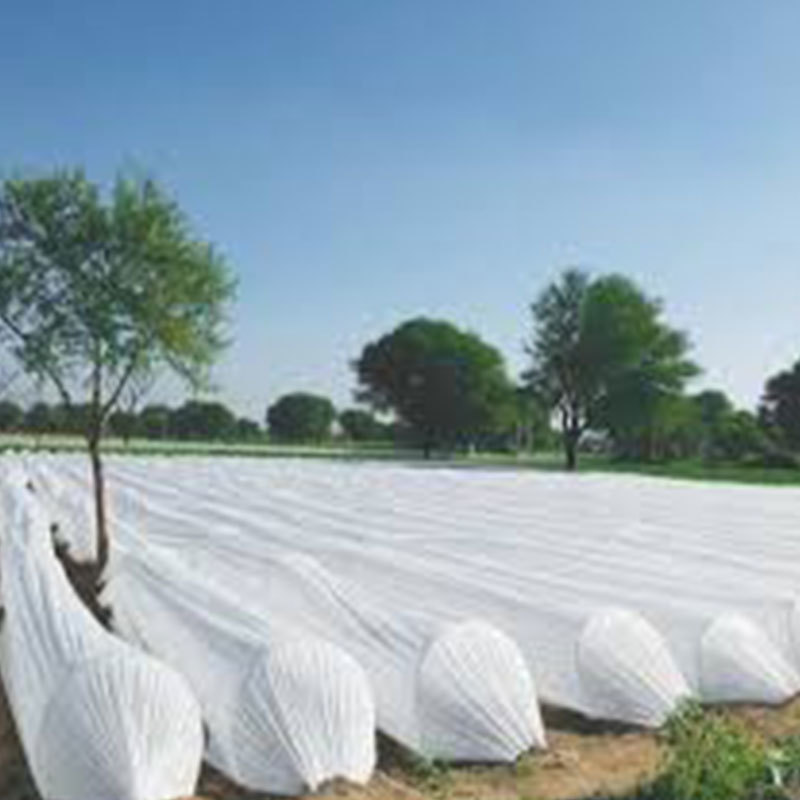 Farm crops frost - proof, windproof, insect - proof non-woven fabric