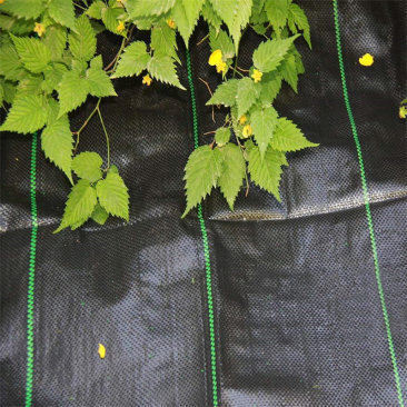 Polypropylene spunbonded non-woven fabric