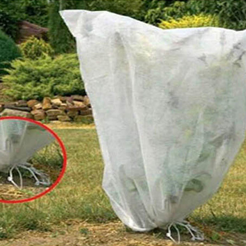 Frost cloth