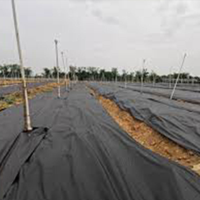 Agricultural or garden plant covers