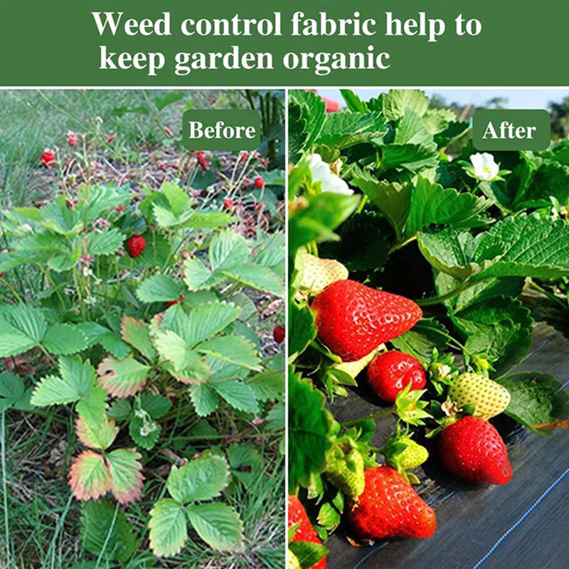 Non woven grass proof fabric