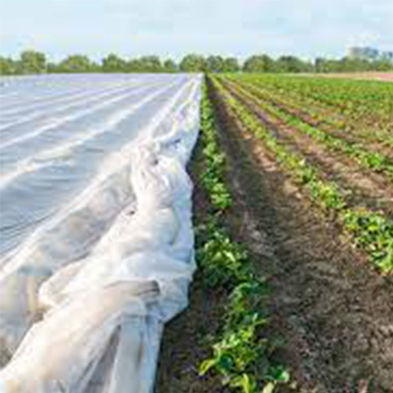Vegetable insect proof, thermal insulation non-woven fabric