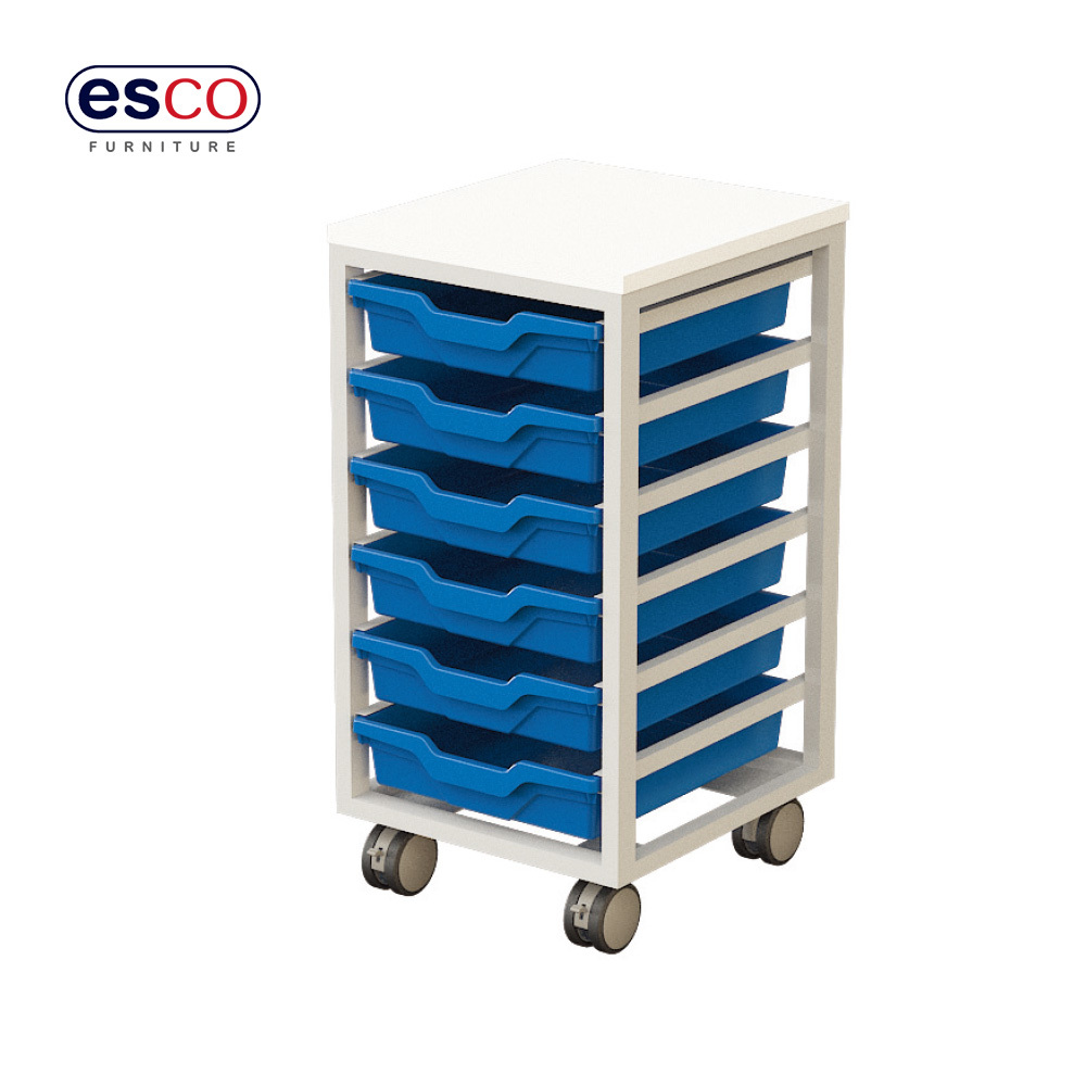 Storage cabinets with wheels in the school