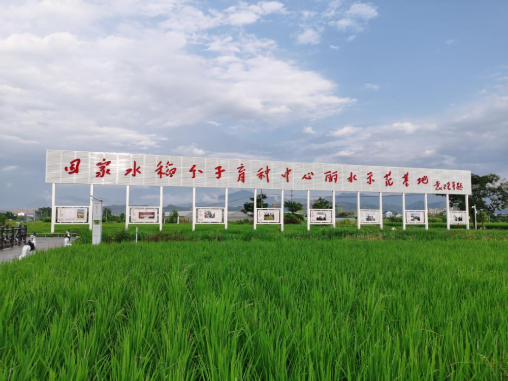  华智生物技术有限公司