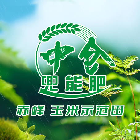 【农民有话说】比邻株高十公分！揭秘赤峰玉米示范田用“肥”秘籍