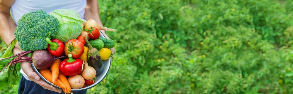 What is PeptiColor? The Science Behind Brighter Color, Sweeter Taste, and Longer Shelf Life for Fruits