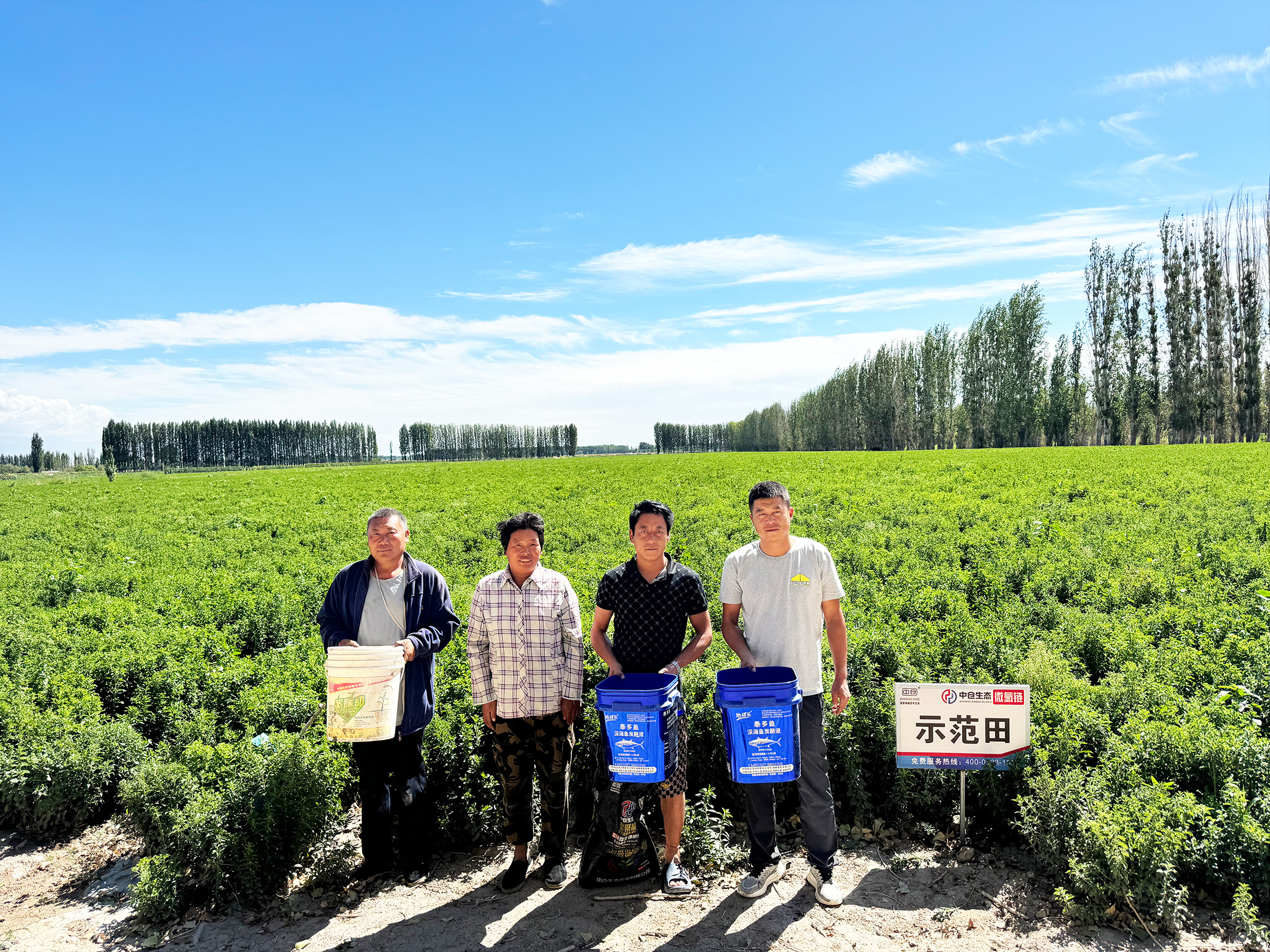新疆自治區(qū)巴州市21團(tuán)甜葉菊