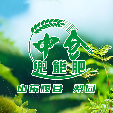 【农户有话说】山东陵县庞庄梨园：打造亩产万斤商品梨