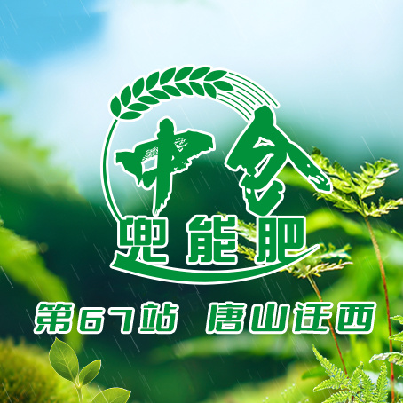 【农户有话说】唐山市迁西县红薯示范田：助力根须“大爆发”