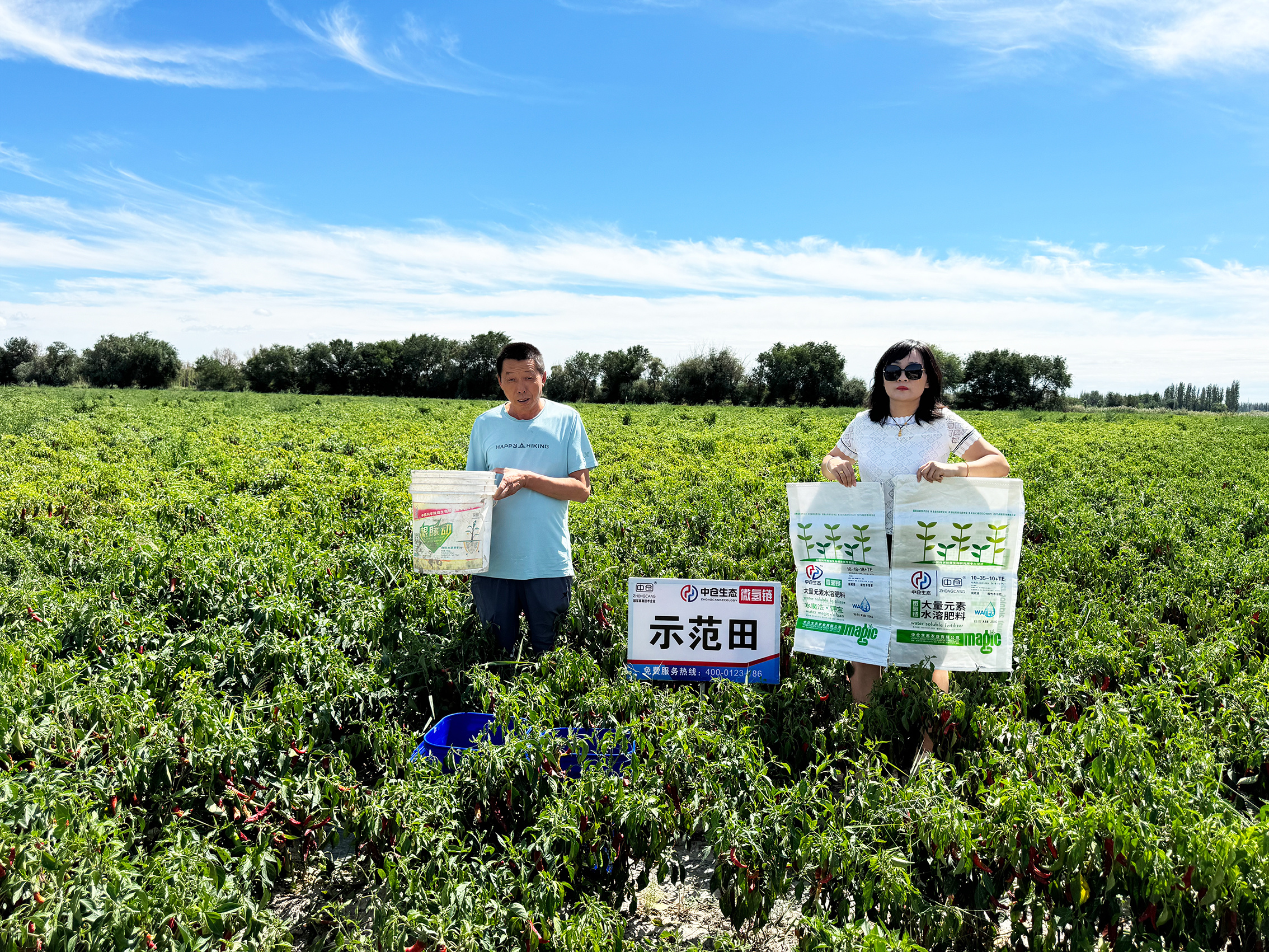 新疆自治區(qū)巴州市21團(tuán)辣椒