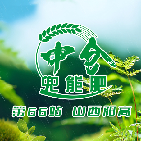 【农户有话说】山西阳高茄子园示范田：中仓兜能肥让茄子焕新提质