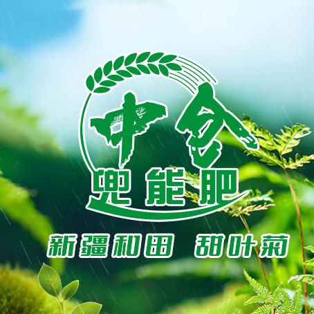 【农民有话说】根脉相连，能量倍增：新疆和田甜叶菊示范田