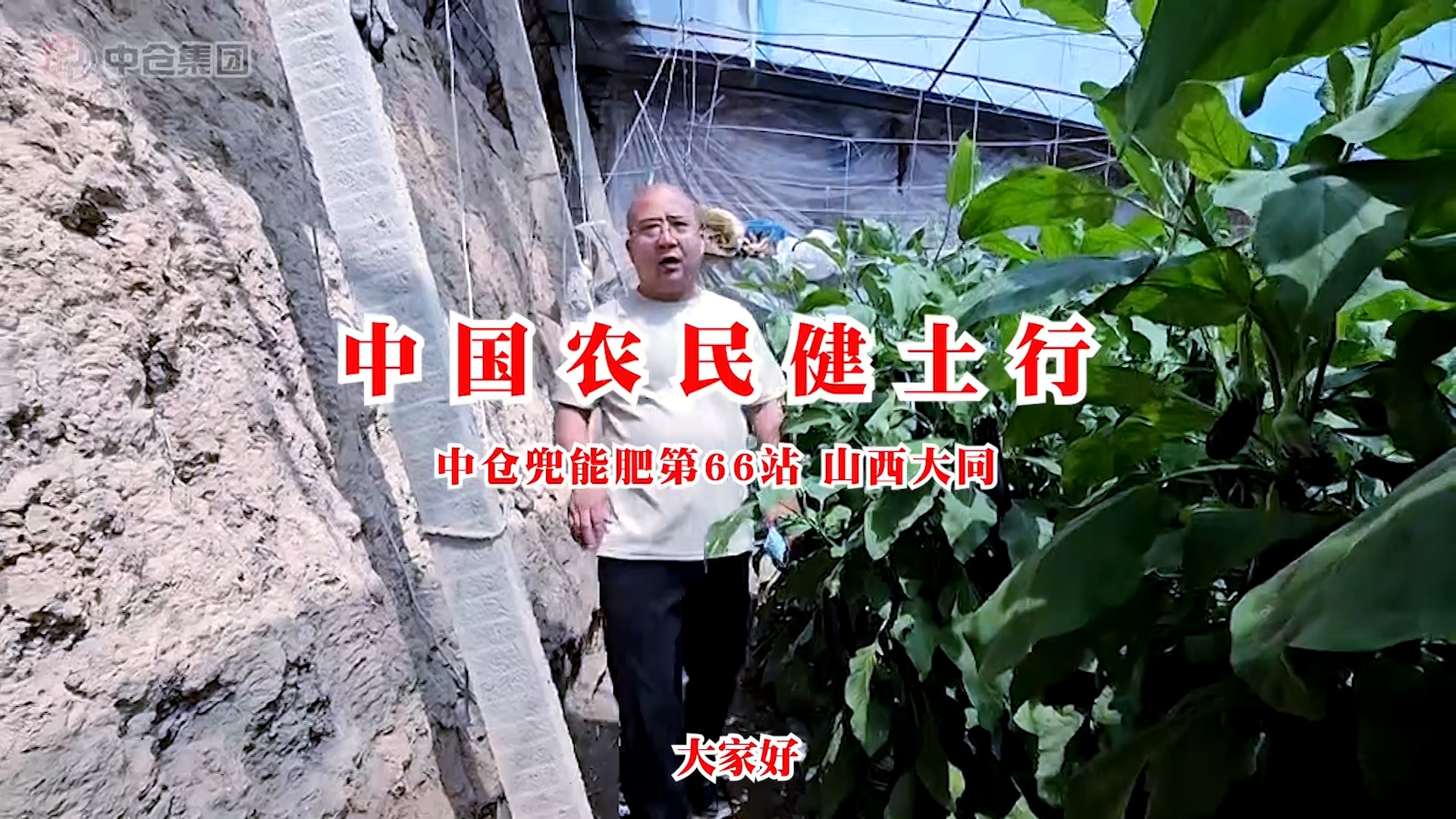 【中倉示范田】山西陽高茄子園示范田：中倉兜能肥讓茄子煥新提質