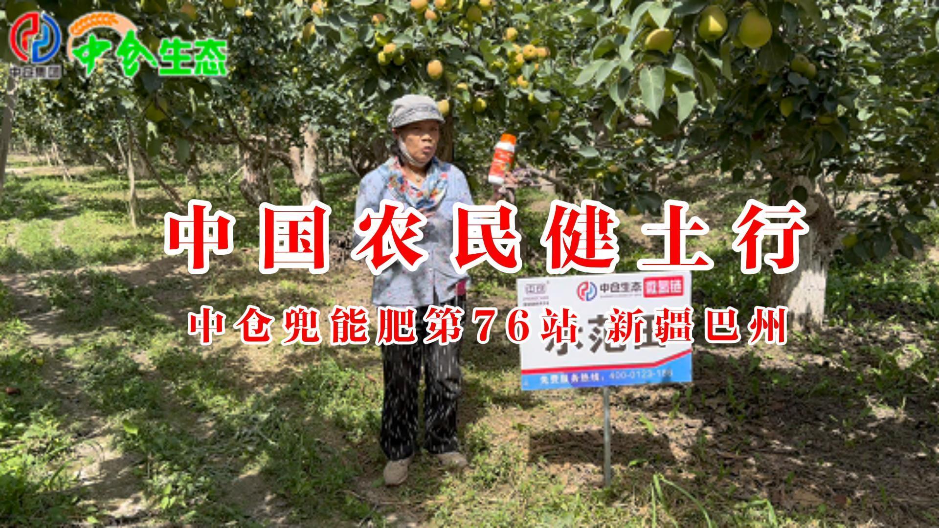 新疆自治區(qū)巴州市28團(tuán)香梨園 新疆自治區(qū)巴州市28團(tuán)香梨園