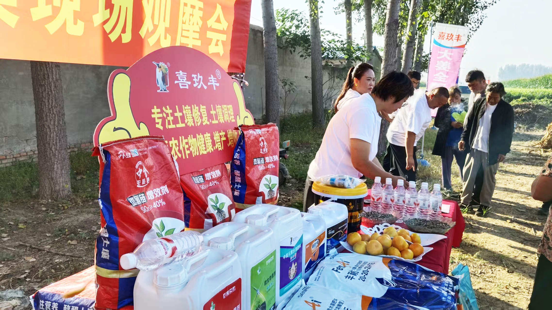 【中仓新闻】中仓生态助力唐山喜玖丰农业召开大姜全程方案现场观摩会