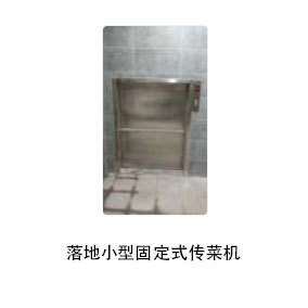 落地小型固定式傳菜機(jī)