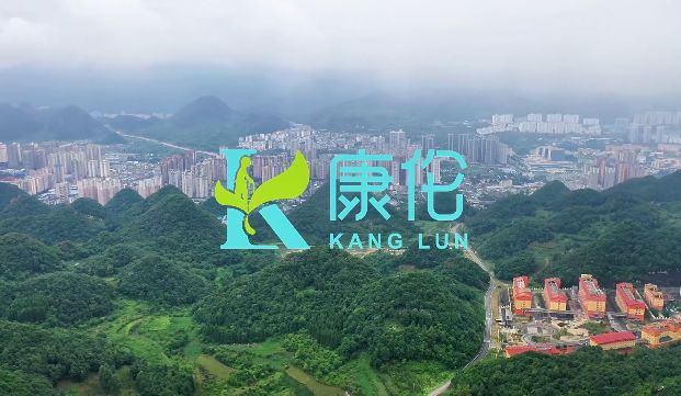 视频标题