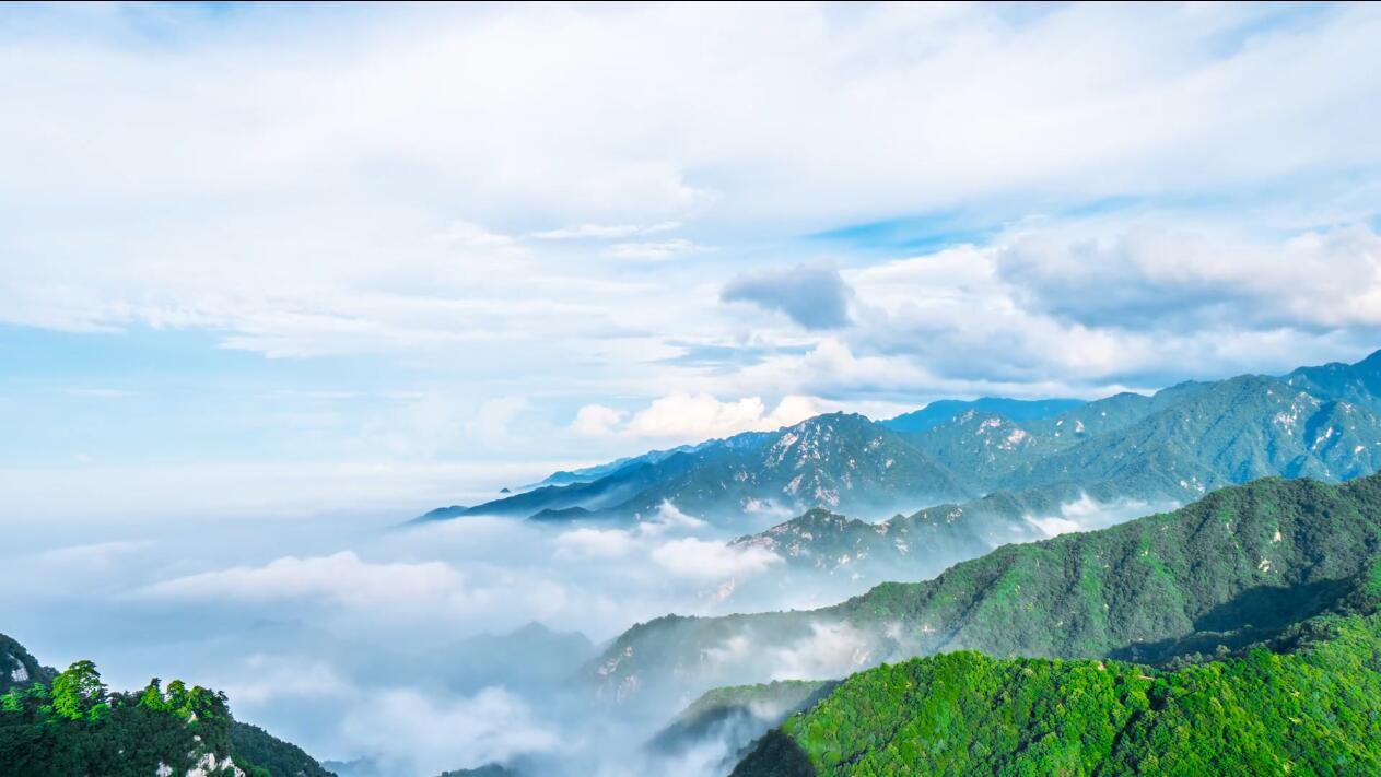 联港影像