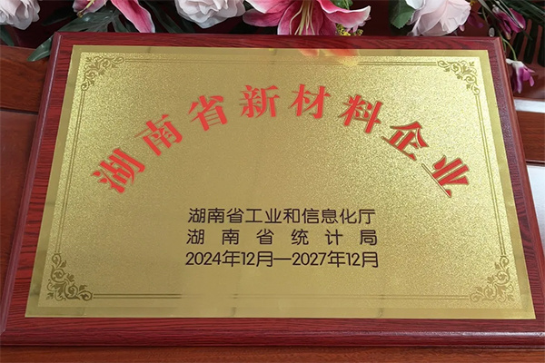 Xintiandi Fine Porcelain has been recognized as a new materials enterprise in Hunan Province for the year 2024.