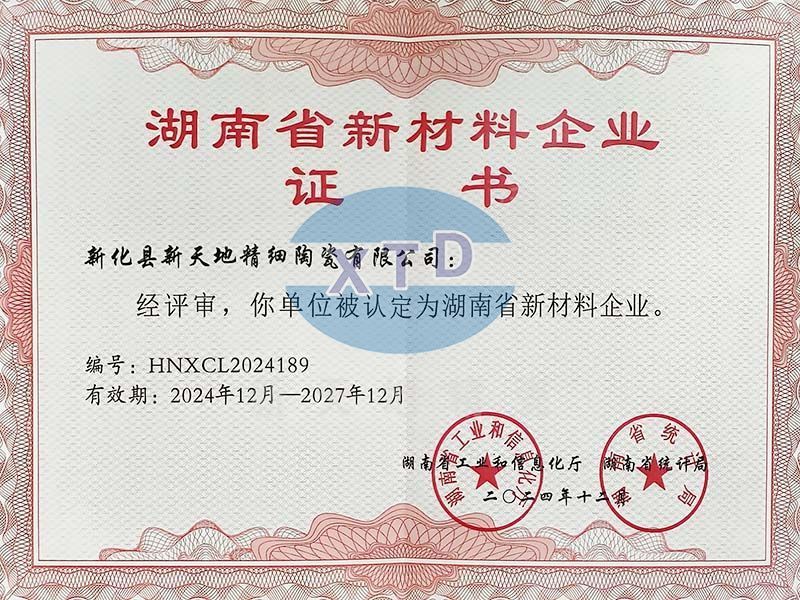 New World New Materials Company Certificate