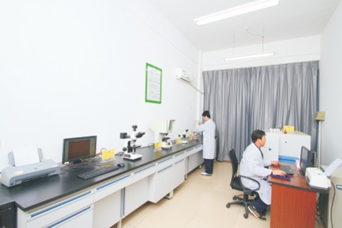 Detection device 4 Detection device 4