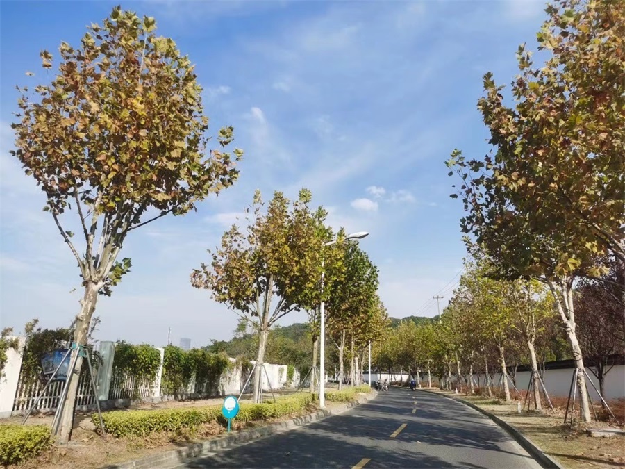 旺山登山徒步活动