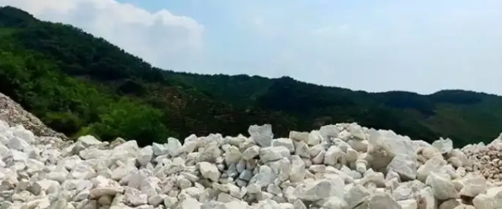 辟謠！牛奶+可樂”生成碳酸鈣，會得胃結石？