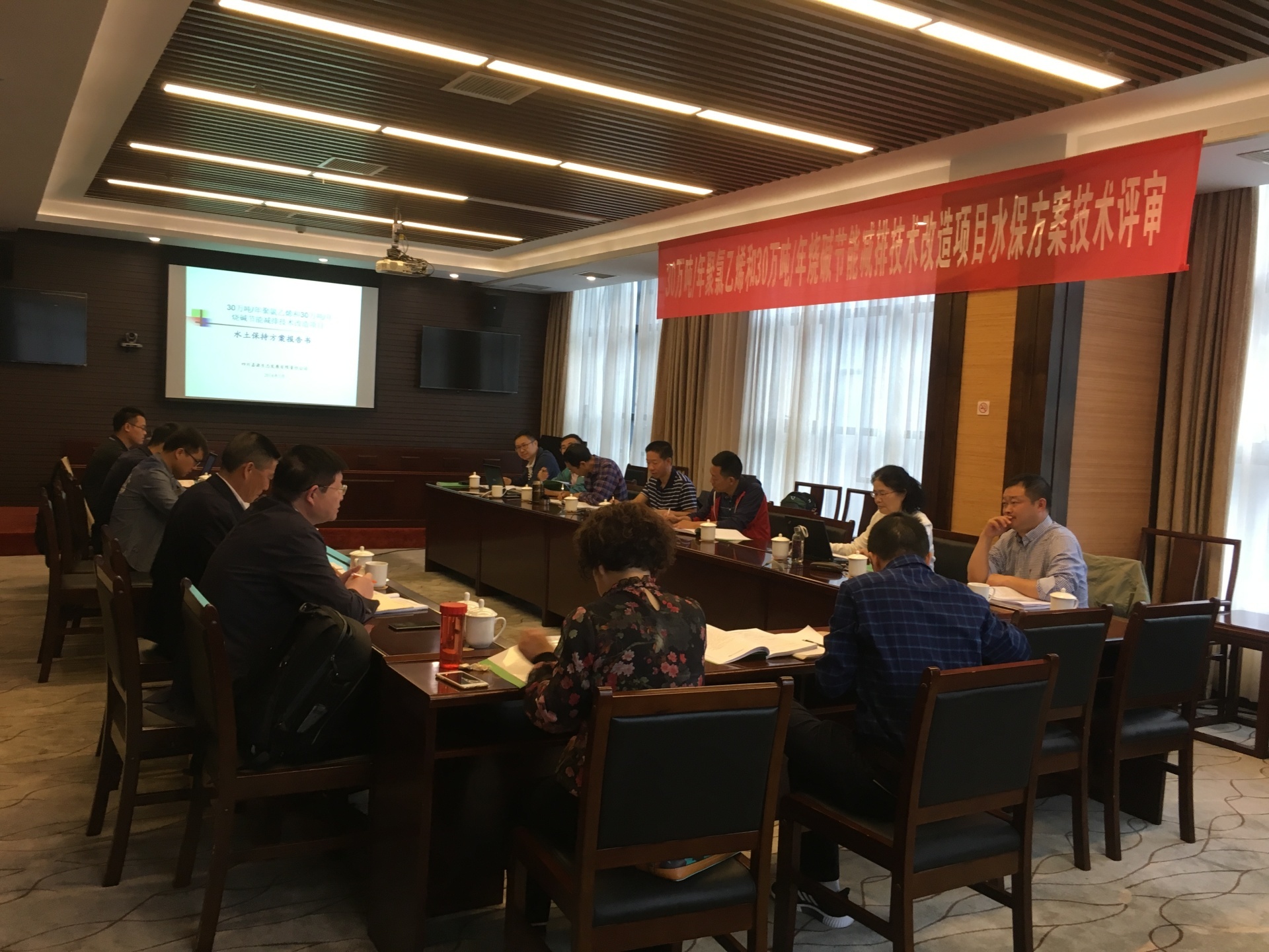 年产30万吨聚氯乙烯30万吨烧碱节能减排技改项目水土保持方案技术评审会