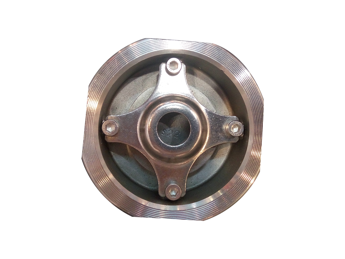  Spring loaded disk check valve-AOCV31