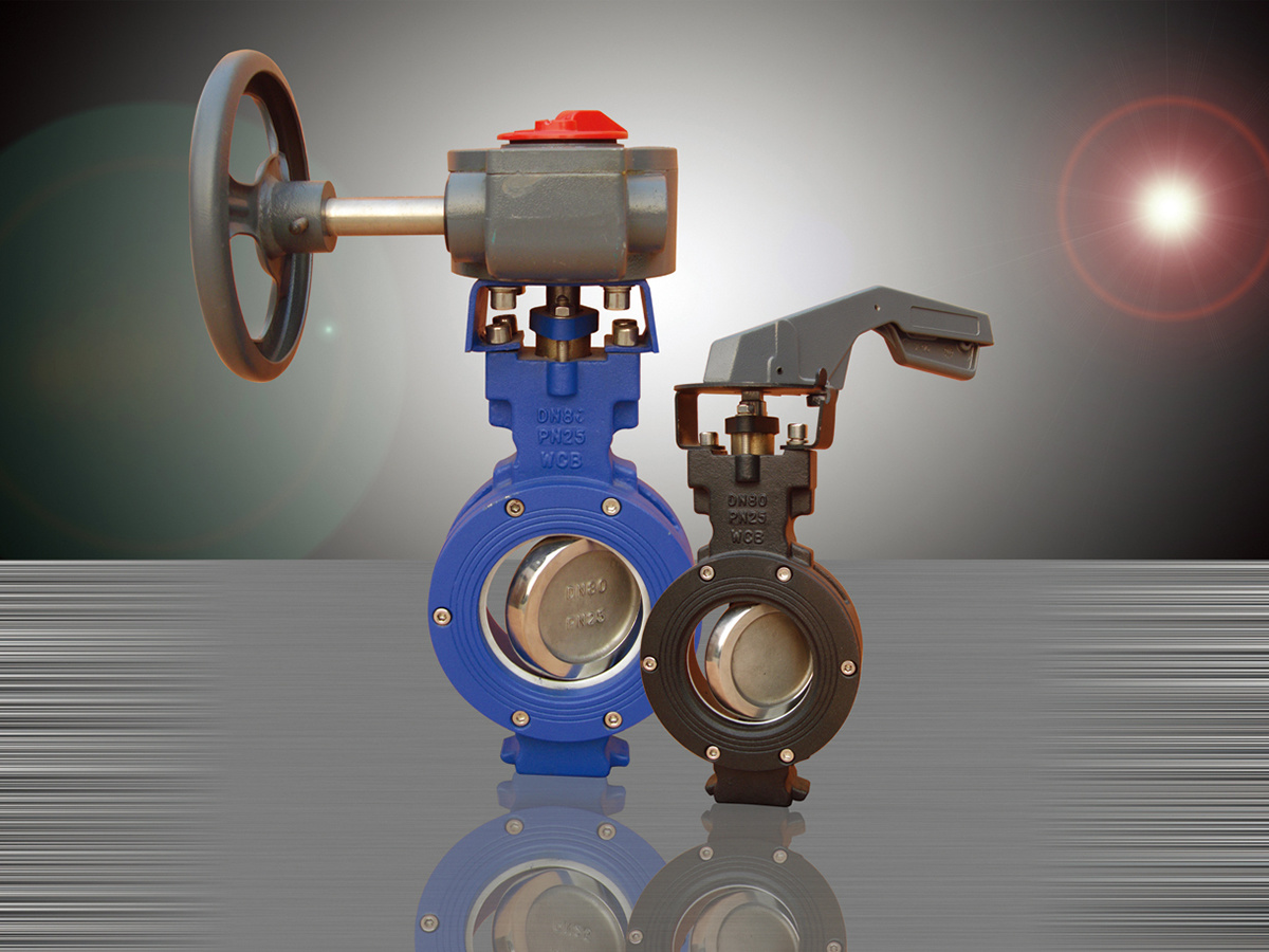 Double eccentric Butterfly valve with PTFE sealing-AOBV21