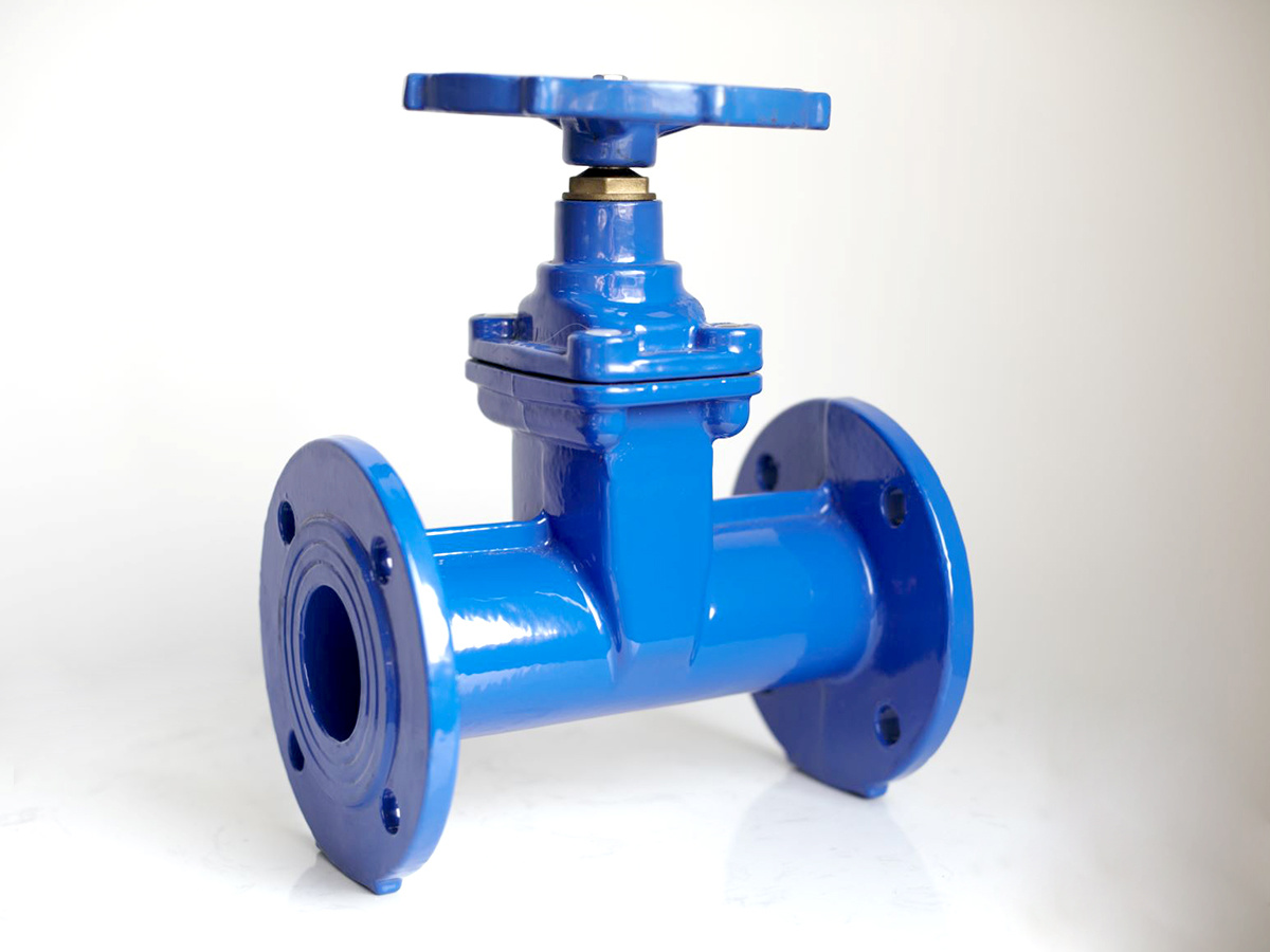 DIN3352 F5 Resilient Seated gate valves-AOGV02