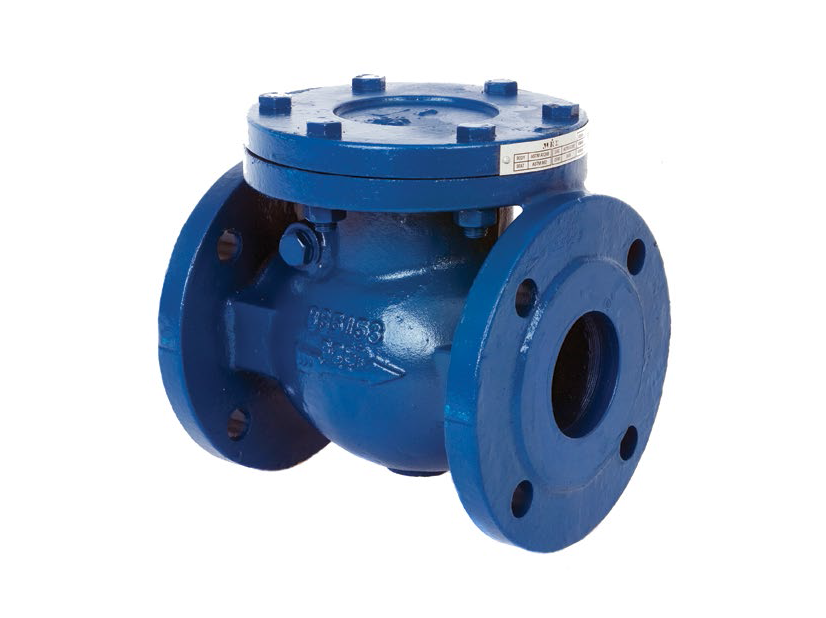 Flanged type swing check valve-AOCV22
