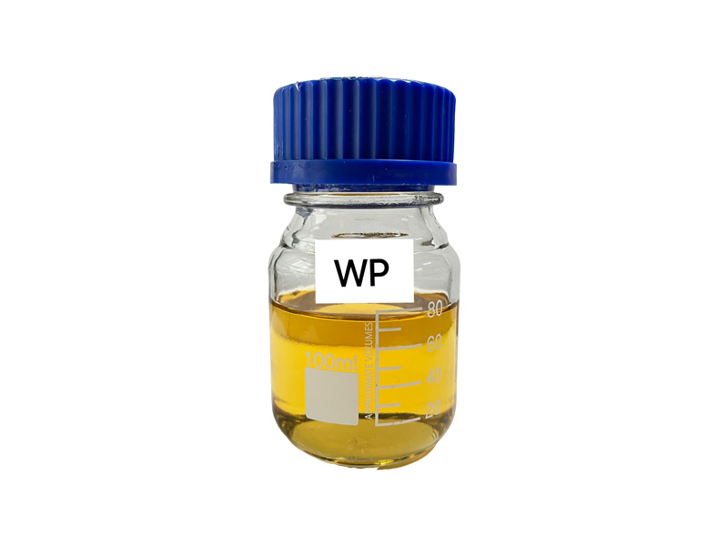 WP