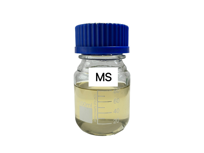 MS