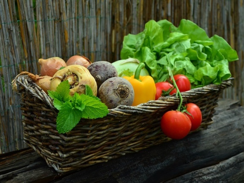 The development of the agricultural and sideline products industry