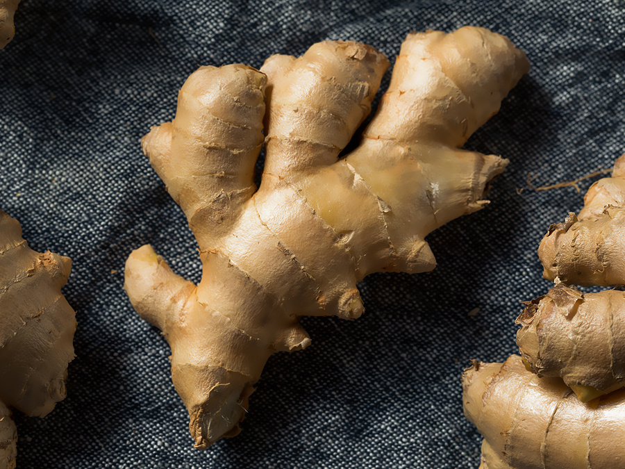 Ziyuan ginger