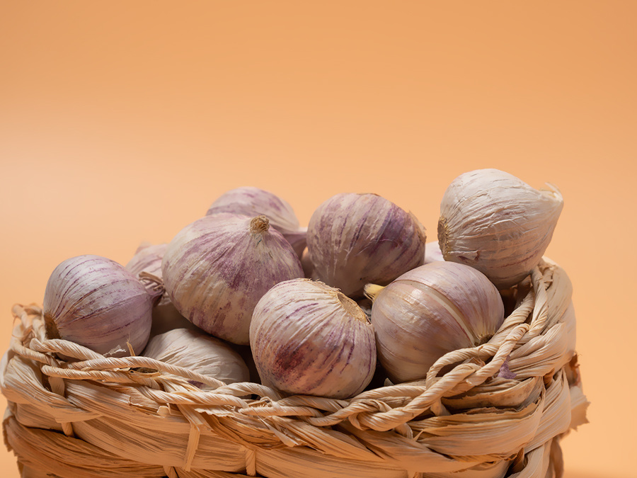 Solitary garlic